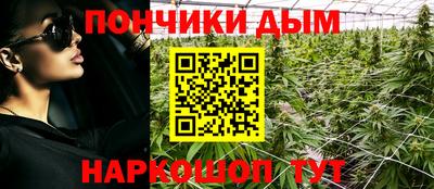 Альфа ПВП Обь