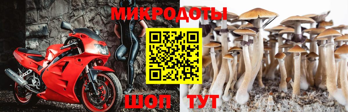 Псилоцибиновые грибы мицелий  Псилоцибиновые грибы Psilocybe  Сибай  Вход с VPN 